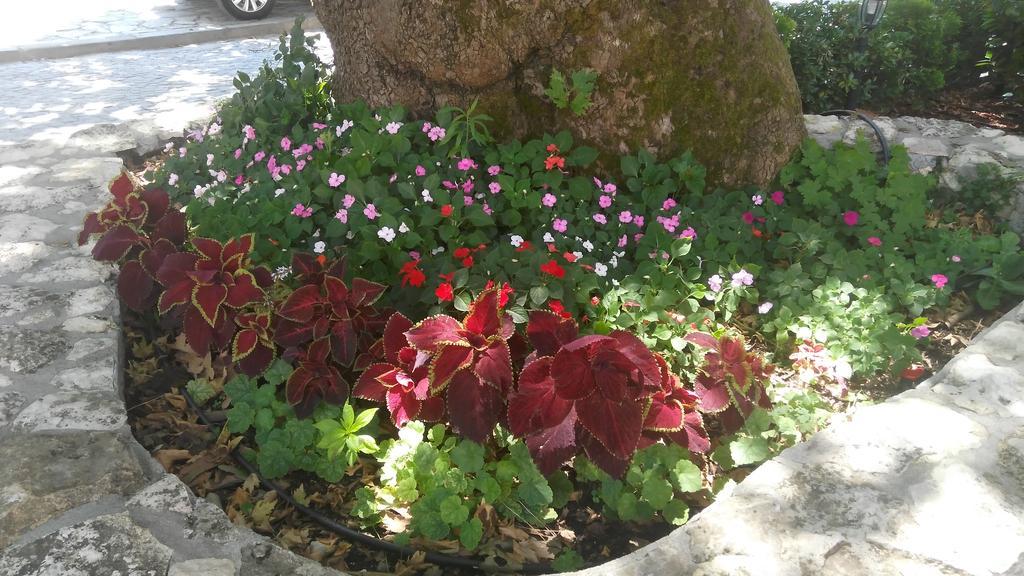 Chavkova House Melnik (Blagoevgrad) Luaran gambar